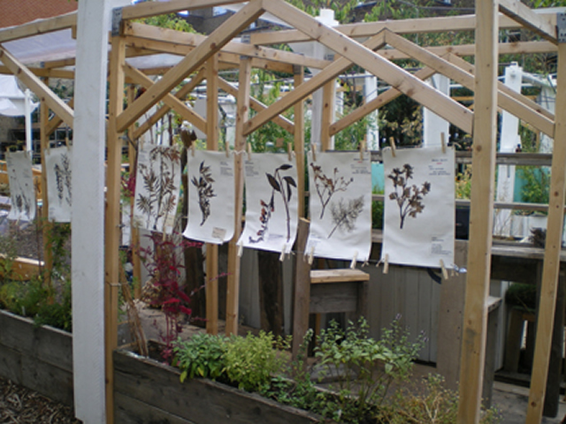 Physic Garden
