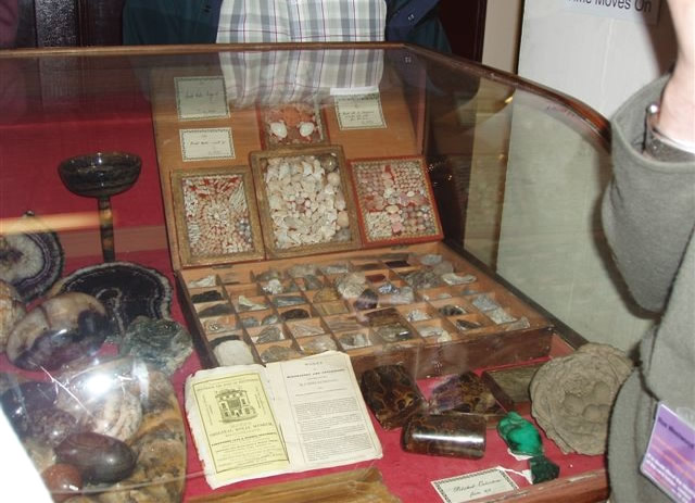 Cabinet of Curiosities