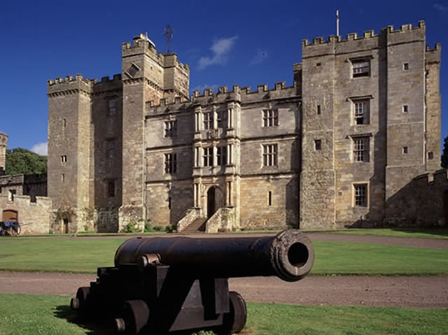 Cannon