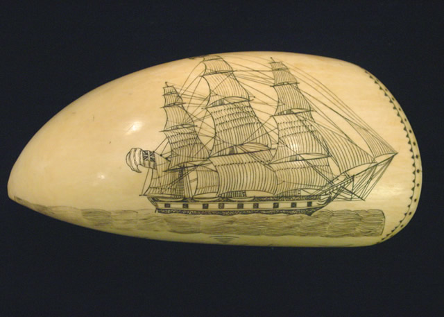 Scrimshaw