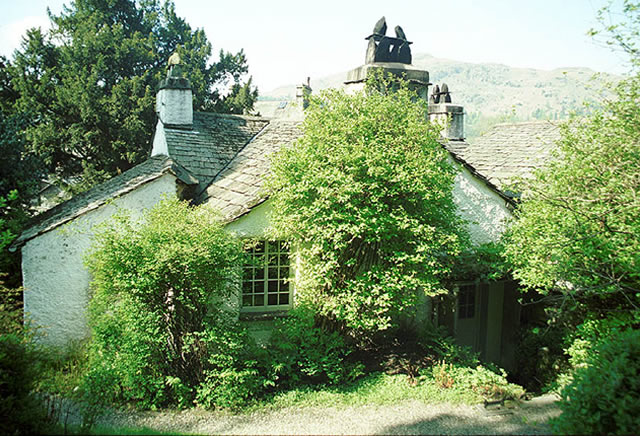 Back Garden