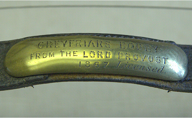 Greyfriars Bobby Collar
