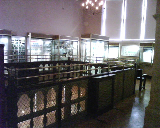 Eton College Museums Natural History