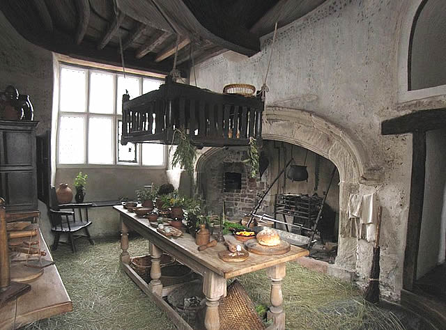 Plas Mawr - kitchen