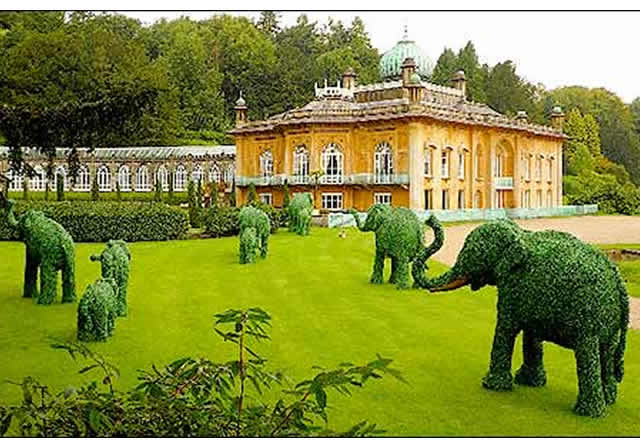 Topiary Elephants