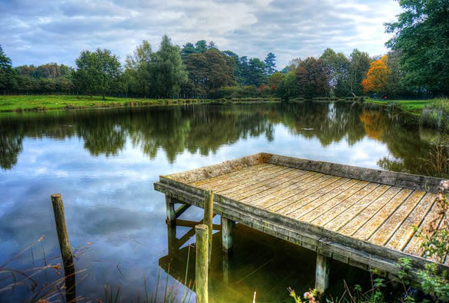 Fishing Pond - Normanby Hall
