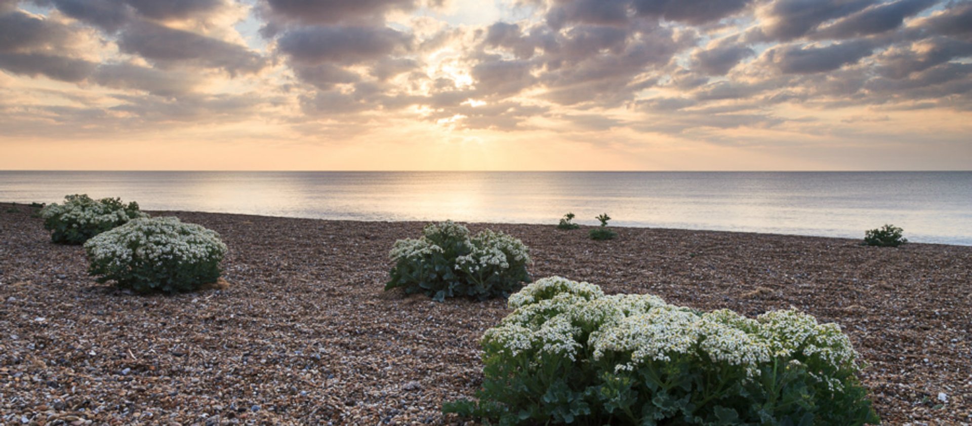 Dunwich Beach