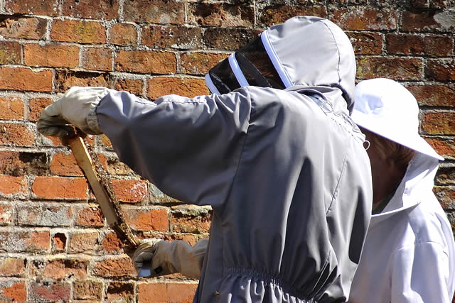 Cressing Temple Beekeeping