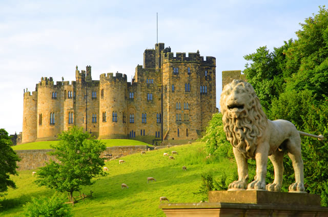 Castle and Lion