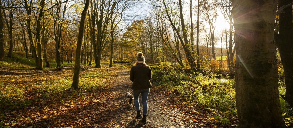 Wallington River Walk