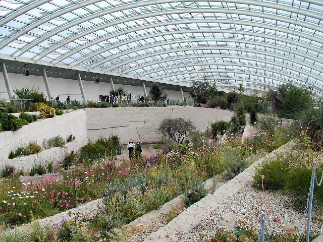 Botanic Garden Green house