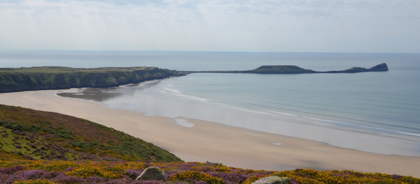 purple heathland and the bay