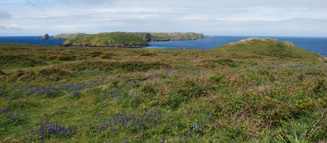 Marloes Peninsula