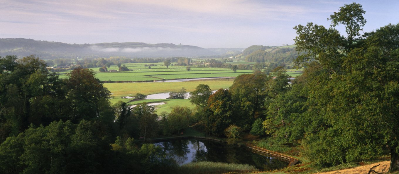 Dinefwr Park